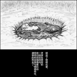 Page 34 of 大姊姊与油库里（半生不熟汉化组）