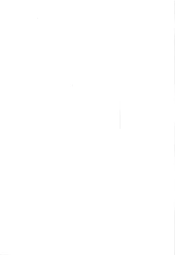 Page 22 of Ougon no Buta wa Tsuki ni Naku