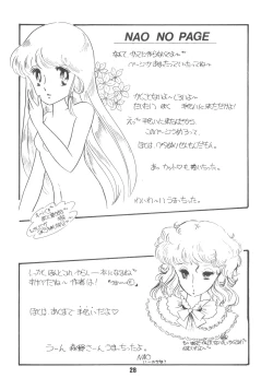 Page 31 of Microchan