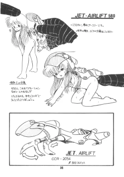 Page 39 of Microchan