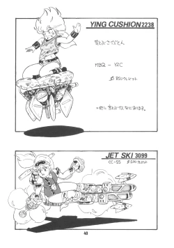 Page 43 of Microchan