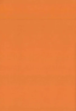 Page 248 of Ginryuu no Reimei | Dawn of the Silver Dragon Vol. 4