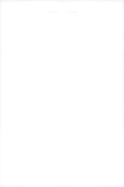 Page 31 of Synchro White