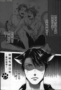 Page 166 of Hatsujou Kemono Hiyori | 發情野獸日和