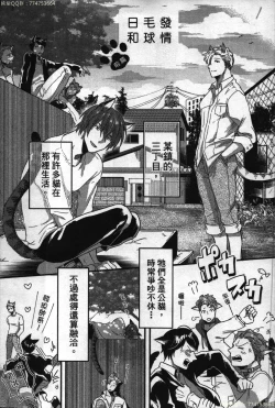 Page 2 of Hatsujou Kemono Hiyori | 發情野獸日和