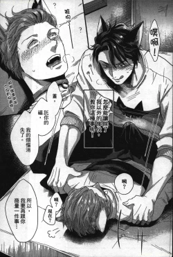 Page 42 of Hatsujou Kemono Hiyori | 發情野獸日和