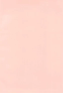 Page 4 of Omezame Gohoushi