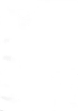 Page 3 of Shiragasane