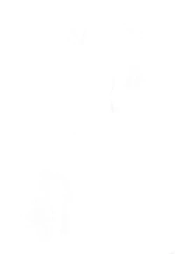 Page 42 of Shiragasane