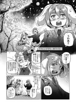 Page 15 of Touhou Goto Seigiroku