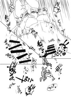 Page 25 of Touhou Goto Seigiroku