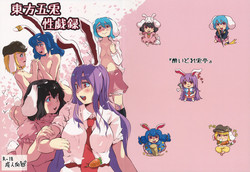 Download Touhou Goto Seigiroku