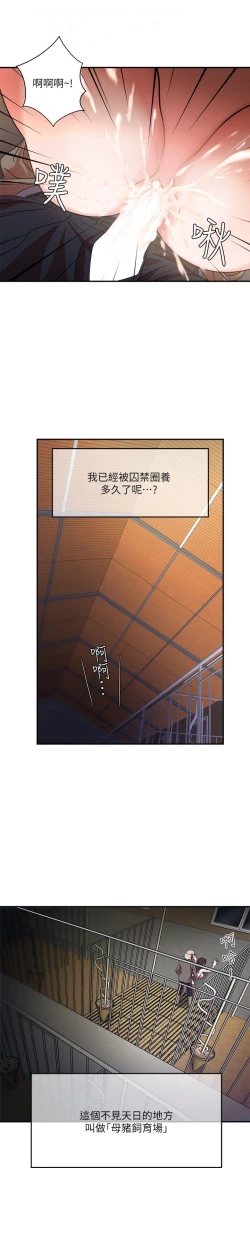 Page 16 of 母豬養成計畫【中文】