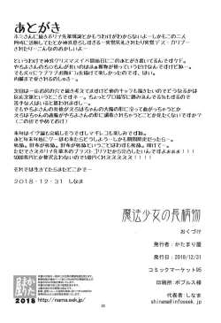 Page 29 of Mahou Shoujo no Nagaemono