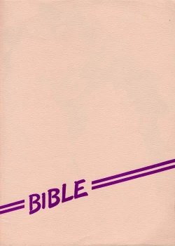 Page 23 of Kyouakuteki Shidou Daiichijou Dainikou