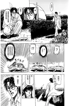 Page 13 of Shishunki