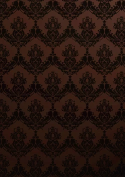 Page 2 of Daddy in Wonderland 4