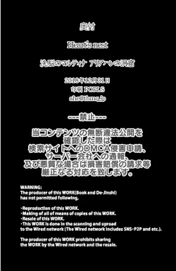 Page 37 of Sennou no Martina