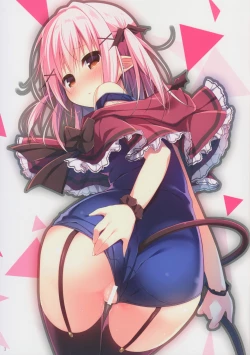 Page 3 of Succubus-chan Ikusei Nisshi