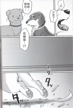 Page 18 of Usotsuki Tachi no " " | 讹言者们的“ ”