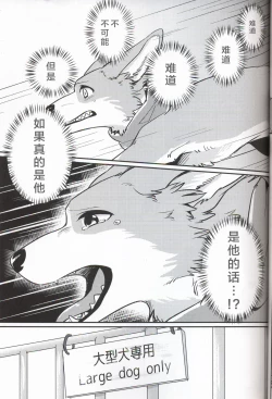 Page 19 of Usotsuki Tachi no " " | 讹言者们的“ ”