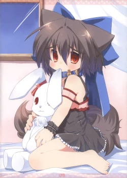 Page 7 of Wanko Collection