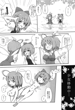 Page 25 of Touhou Anmaroku