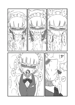 Page 11 of Nama Shirasudon ga Bakuzen to Ecchi na Me ni Au Hon