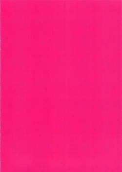 Page 2 of Mechashiko Chino-chan 3