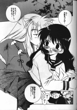 Page 4 of Inuyasha Doku Hon