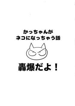 Page 46 of TDBK okigae DEKIRUKANA