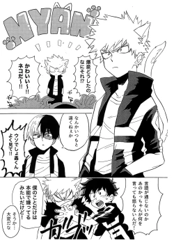 Page 47 of TDBK okigae DEKIRUKANA