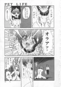 Page 42 of PET LIFE