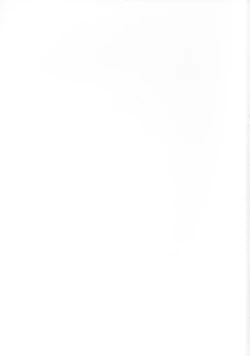 Page 39 of Mitsune SP