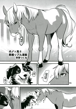 Page 1 of 犬♂×馬♀