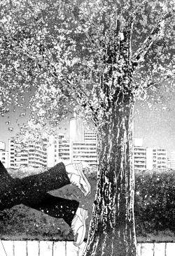 Page 178 of Mankai Harem School