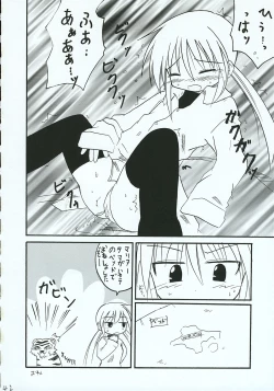 Page 41 of Hayate no Gotoshi!? 3 Shoten Itakuban