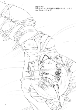 Page 31 of FGO EROmnibus.