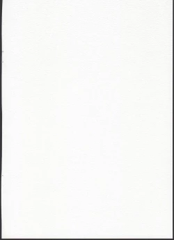 Page 2 of Tsukaisute Tissue