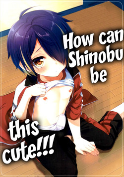 Download How can Shinobu be this cute!!!