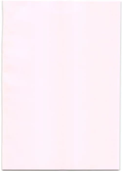 Page 4 of Namaiki Imouto Saimin Onaho