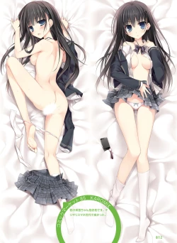 Page 12 of 電撃おとなの抱き枕王 Vol.01