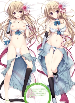 Page 17 of 電撃おとなの抱き枕王 Vol.01