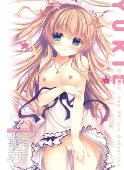 Page 88 of 電撃おとなの抱き枕王 Vol.01