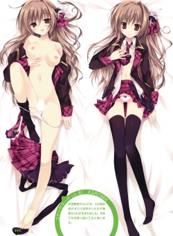 Page 9 of 電撃おとなの抱き枕王 Vol.01