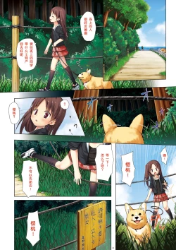 Page 24 of Kirigami Shima Zen Saishiki Soushuuhen