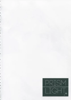 Page 3 of PRISM LIGHT