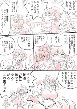 Page 14 of Touhou Pragmatizer Sono 13