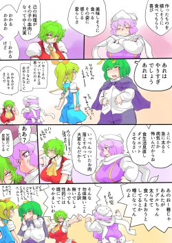 Page 23 of Touhou Pragmatizer Sono 20