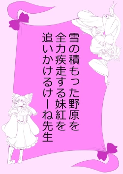 Page 24 of Touhou Pragmatizer Sono 20